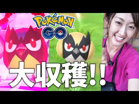ココガラコミュニティデイを無料で満喫！ポケモンGOの楽しさと見どころ紹介 サムネイル