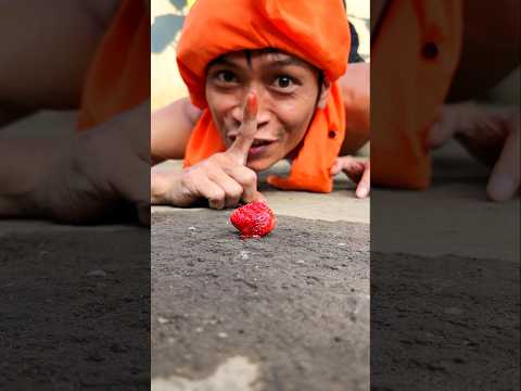 Communicating, Moving fast like a rabbit and skillful like Tarzan #millipede #shorts