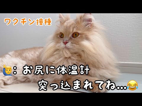 ワクチン接種の流れと体験談：安心して受けるためのポイント サムネイル