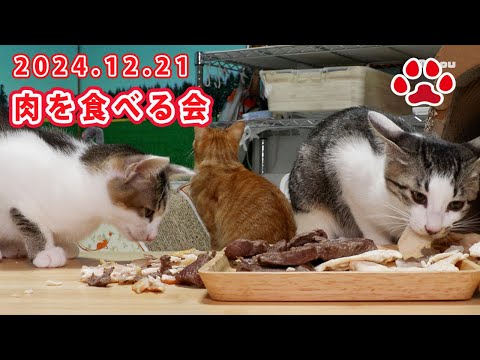 猫部屋でクリスマス　肉を食べる会 2024