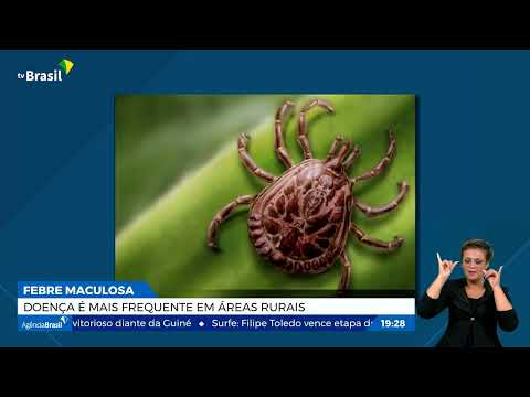 Entenda os sintomas da febre maculosa