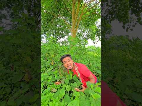 এই পচা গরমে | ei pacha garome | best bangla comedy #shorts