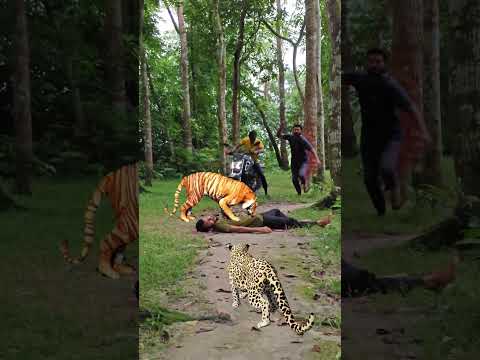 catching leopard 🐆🐆#1 #youtubeshorts​ #viral​ #trendingshorts​ #shorts_​ #animal​ #tiger​ #jungle​