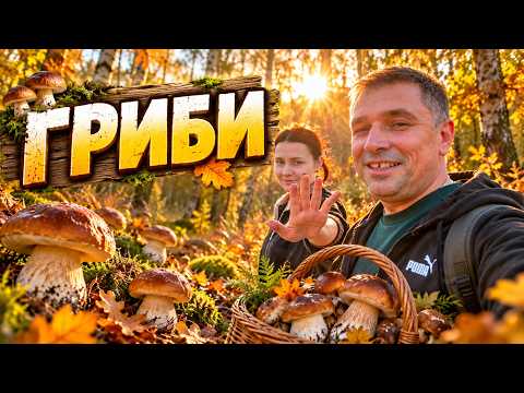 Гриби