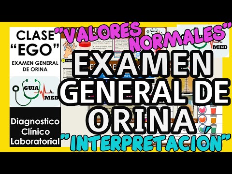 EXAMEN GENERAL DE ORINA INTERPRETACIÓN | GuiaMed