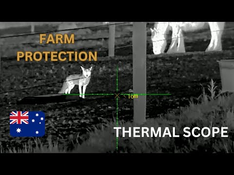 THERMAL FOX HUNTING AUSTRALIA | FARM PROTECTION
