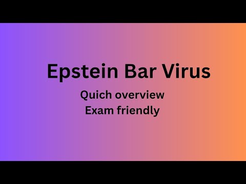 Epstein Barr virus. || Quick overview and Exam friendly 