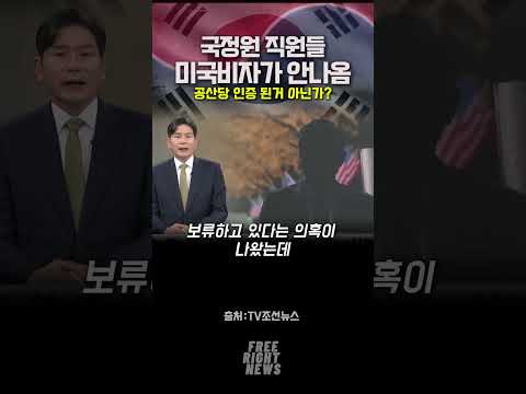 <strong>국정원</strong> 직원들이 비자가 안나온다고?