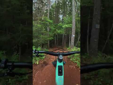 Blind double black TECH on the Forbidden Druid CORE!  #mtb #emtb #mtblife