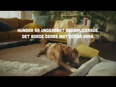SMAAK - inget nonsens
