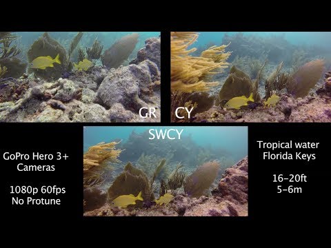 SRP GR vs CY vs SWCY Underwater Filter Comparison - GoPro Tip #306 - UCTs-d2DgyuJVRICivxe2Ktg