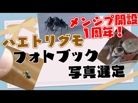 thumbnail_gj4Jhm4pvww