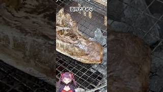 【炭火焼】マグロの皮目が大トロすぎた　#飯テロ #bbq #shorts