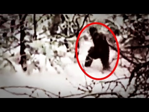 5 Abominable Snowman Caught On Camera & Spotted In Real Life! - UCUVa51UA_690sEKyRbHb-5A