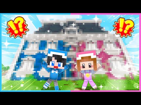 【 マイクラ 】立派な超大豪邸に住む！？✨