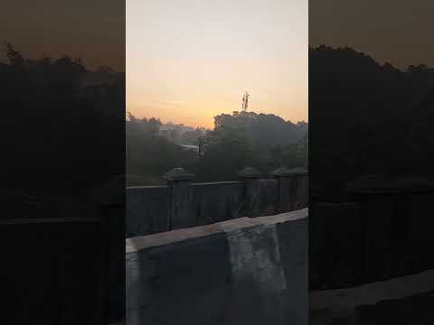 स्वामी कृपा#motivation #swamisamarthamajhiaai #hinduguru #love #sorts #viral