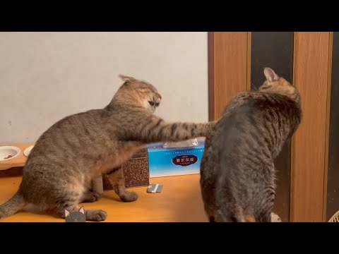 みんなイライラして度付き合い寸前です