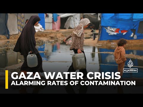 Water quality survey reveals ‘alarming rates’ of contamination in Gaza