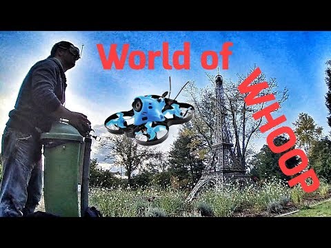 World of Whoop (Blumengarten Bexbach) - UCskYwx-1-Tl5vQEZ0cVaeyQ