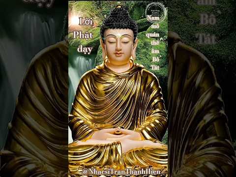 LỜI PHẬT DẠY Shorts @KARAOKENHACSITRANTHANHHIEN @NhacsiTranThanhHien