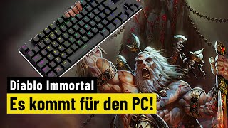 Vido-Test : Diablo Immortal | PREVIEW | Es kommt fr den PC! Gameplay, Termin und exklusive Infos