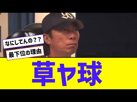 高津監督、草ヤ球でいつもの顔になってしまうｗｗｗｗ【なんJ反応】