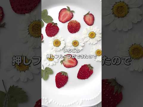 🍓いちごの押しフルーツで作るミニランタン作り♡✨
