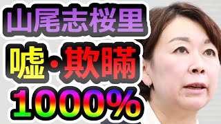 【大爆笑】何しに出てきた？余りに酷い言い訳会見、嘘・詭弁・責任逃れの山尾志桜里を鑑賞しよう【山尾志桜里】【菅野志桜里】
