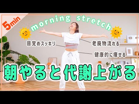【朝用5分】老廃物がドバドバ流れる簡単ストレッチで代謝アップ!!