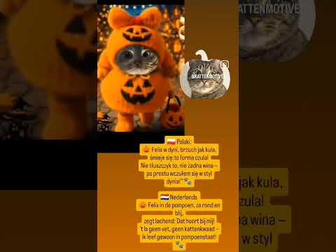 🎃 Felix in de pompoen, zo rond en blij,zegt lachend: "Dat hoort bij mij!’...#pompoen #felix #dc