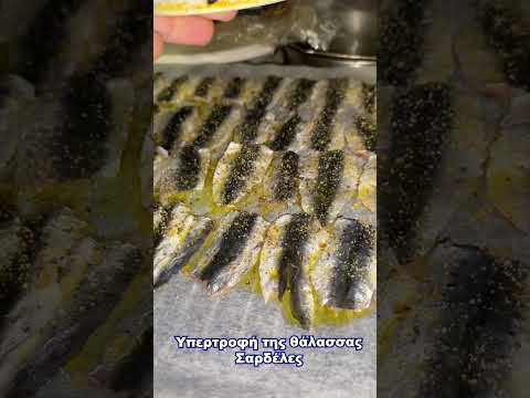 Υπερτροφή της θάλασσας Σαρδέλες