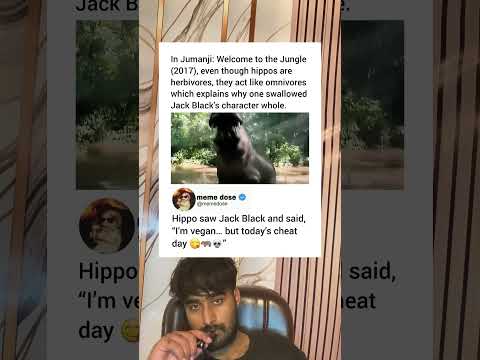 jack black into hippo