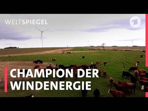 Weltspiegel Uruguay Windenergie