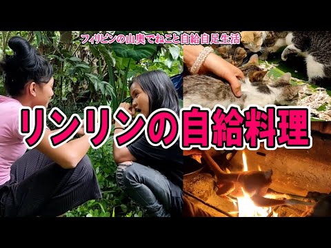 【少し閲覧注意】リンリンの野生料理、ずいきや鶏、アボガド採取【フィリピンの山奥でねこと自給自足生活】