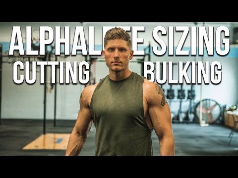 Testing OHP | Cutting Vs. Bulking Q's | Alphalete Sizing - UCHZ8lkKBNf3lKxpSIVUcmsg