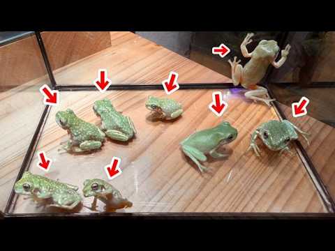 年内ラストのチャンスです