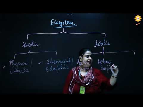 Structural and Functional unit of Environment | Prof. Remya M G | PHCASC