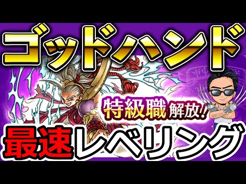 【ドラクエウォーク】限界まで最速でゴッドハンド育成する生放送！！！