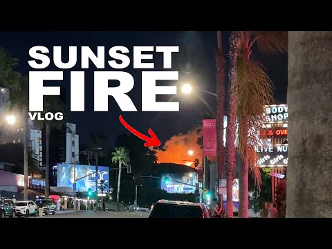 LA Sunset Fire Evacuation Day (What I Learned)