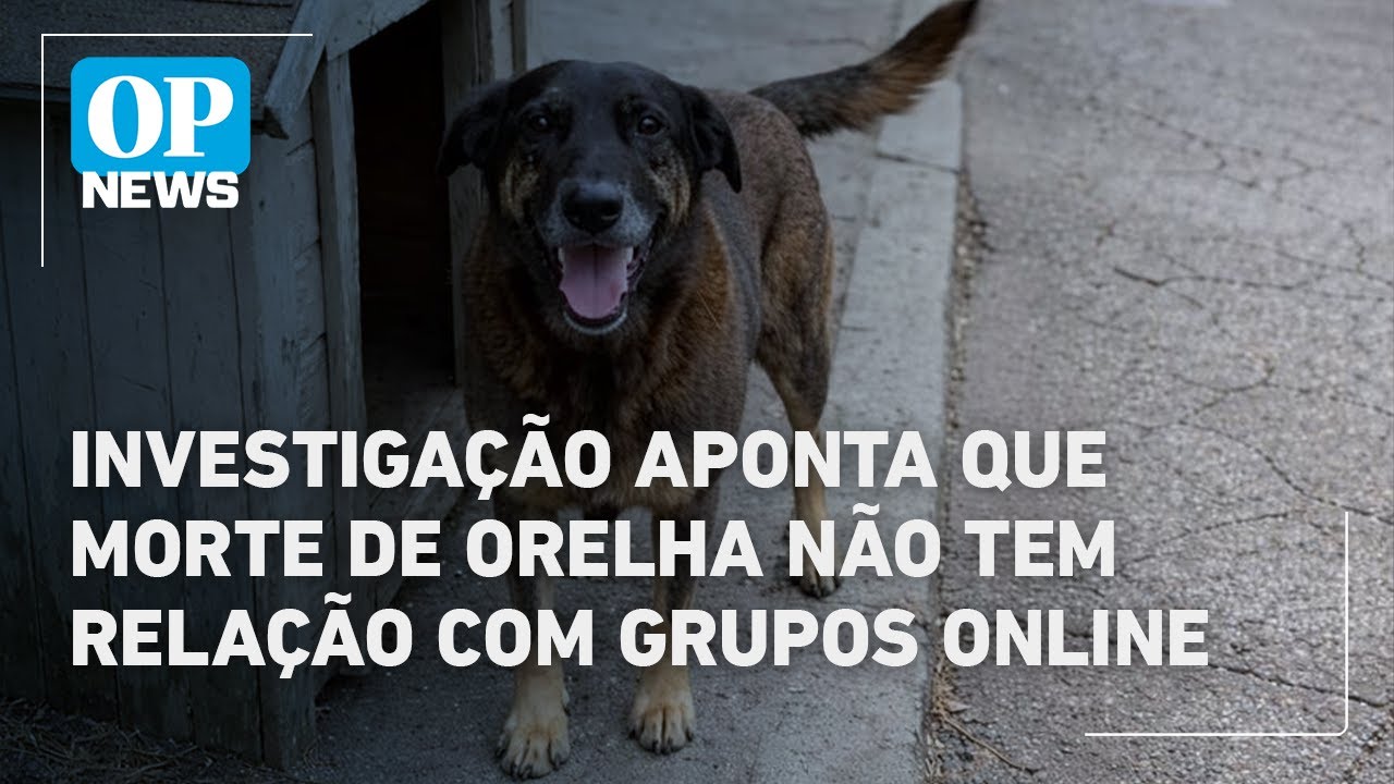 Investigação aponta que agressões a orelha não têm relação com grupos online | OP News