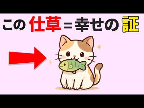 猫の幸せを見逃さない！30の行動とサイン解説 サムネイル