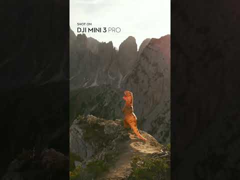 Dino Sighting! Mini 3 Pro Tracks Two Wild Visitors