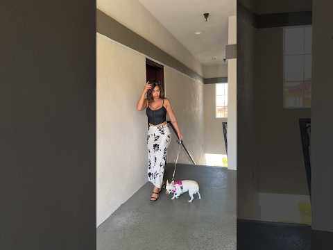 Meet my dog Trixie #office