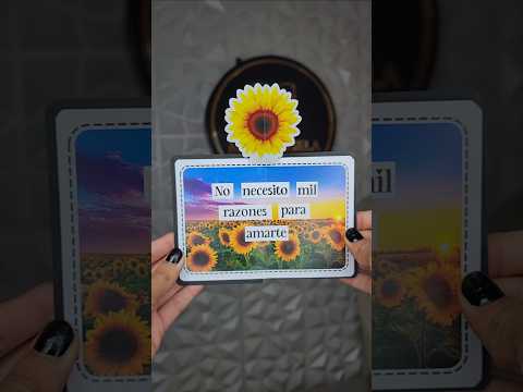 4 de septiembre de 2025