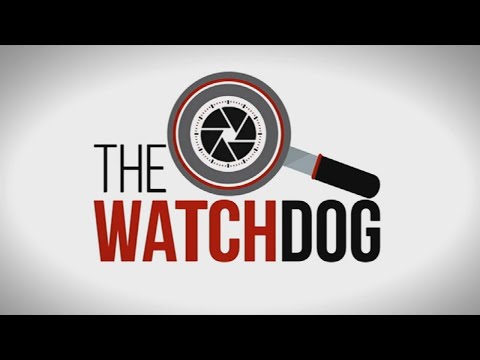 The Watchdog | State of municipalities: 23 August 2021