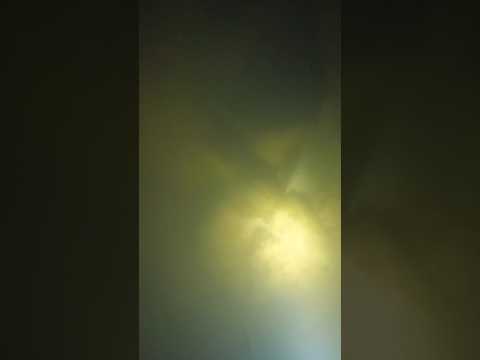 Guabina o Dormilón#Short