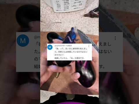【自炊日記】なすの肉詰め作りながら夫への「彼」呼びについて説明しました('∇')【japanese cooking vlog】 #shorts