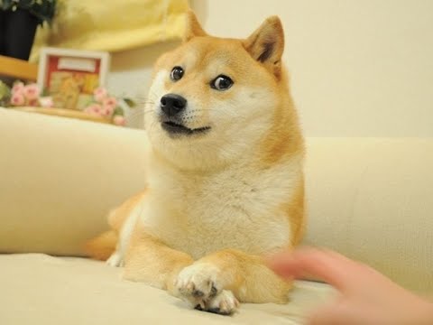 🌠 새벽공부가 제일 좋아! - 질문있으시면 질문 하셔도 됩니다