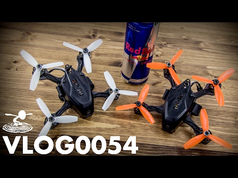 RED BULL GAVE US WINGS...AGAIN! | VLOG0054 - UC9zTuyWffK9ckEz1216noAw