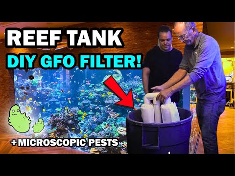 SOLUTION TO GFO USE IN REEF AQUARIUMS AND MORE! Trouble with GFO fines? The Polo Reef team takes on a challenge most reefers face, but few solve. Wh
